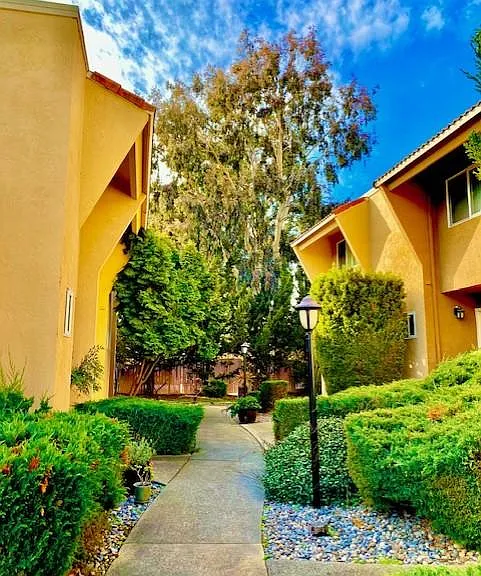 Leafy Grove — Photo 19