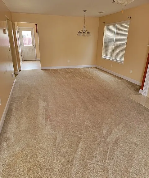 743 Hot Springs Trl — Photo 3