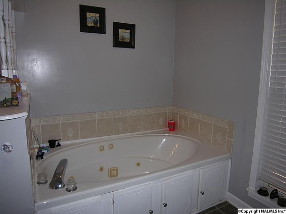 Master bath tub
