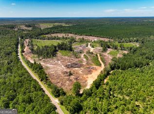 0 Long Branch Rd, Toomsboro, GA 31090