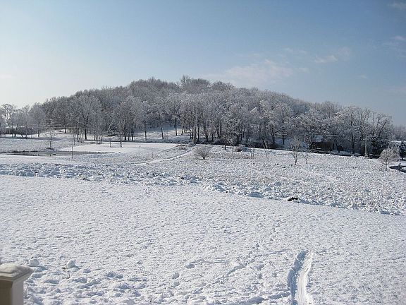 Sled hill in winter!
