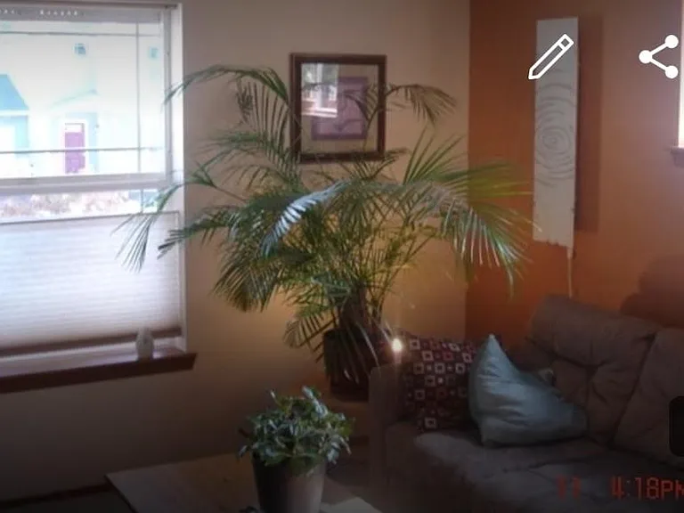 407 NE Max William Loop — Photo 8