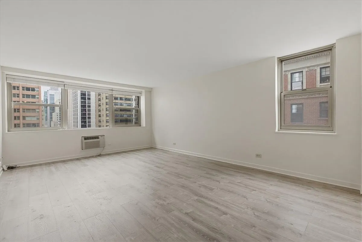 Building Photo - 253 E Delaware Pl #12H