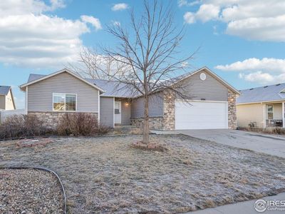 6924 Lee St, Wellington, CO, 80549