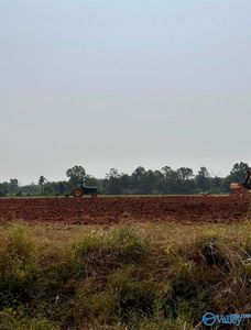 TRACT 51 Hays Mill Rd, Elkmont, AL, 35620