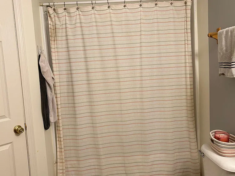 Master bath shower and tub combination