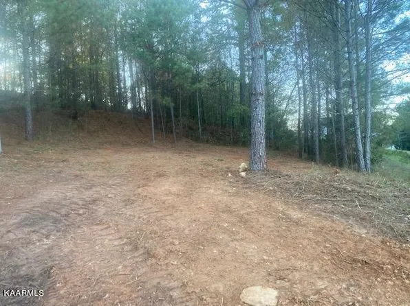 110 Savannah Cv, Benton, TN 37307