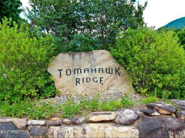 1 & 2 Tomahawk Dr, Cosby, TN 37722