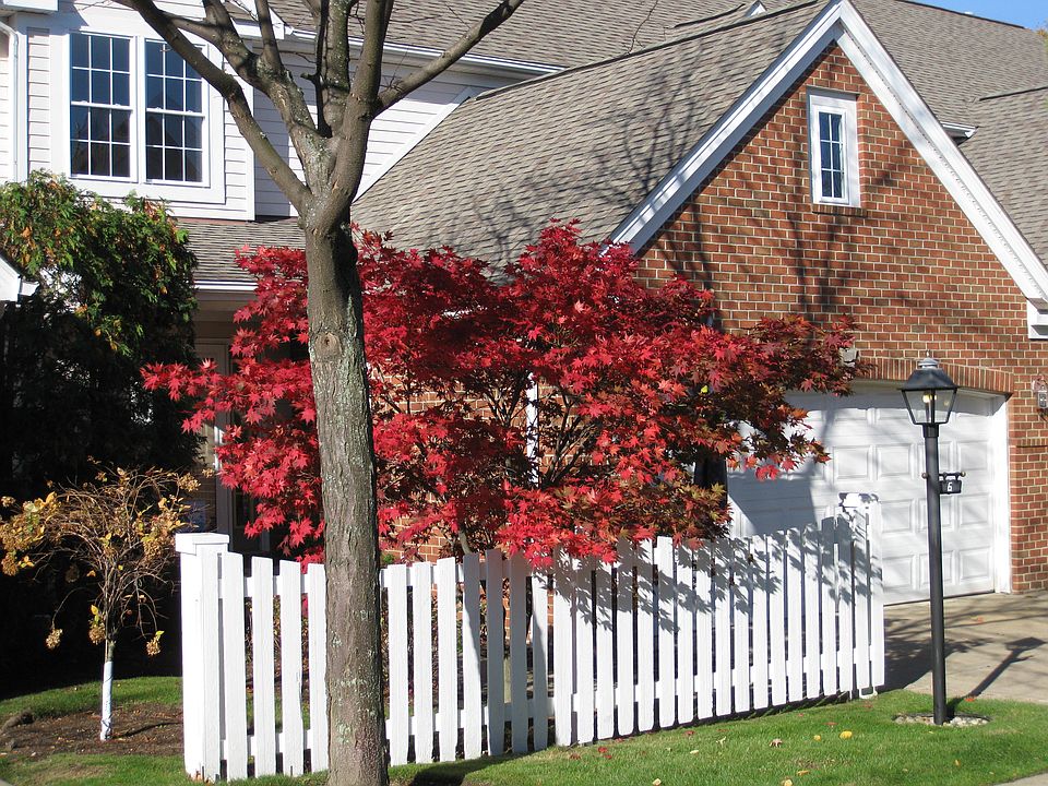 front lawn