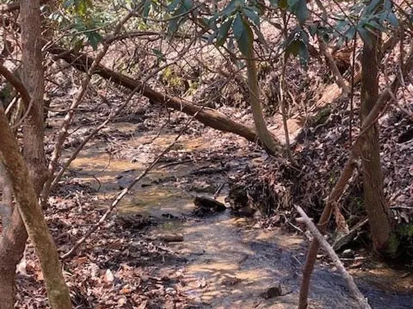 368 Campbell Dr #368, Pisgah Forest, NC 28768