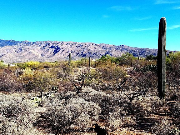 5th image of 11435 E Calle Javelina