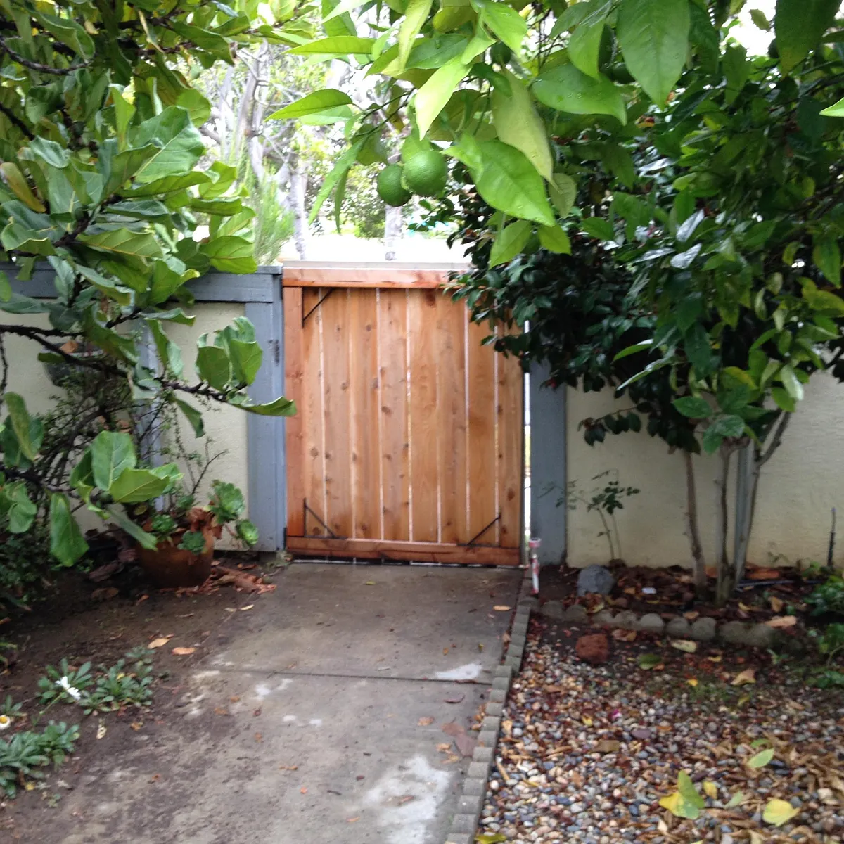 Building Photo - 1256 Saint Helene Ct