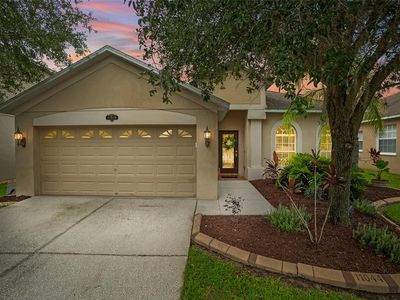 11044 Ancient Futures Dr, Tampa, FL, 33647