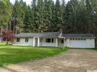 199 Wolf Run Rd, Cuba, NY 14727