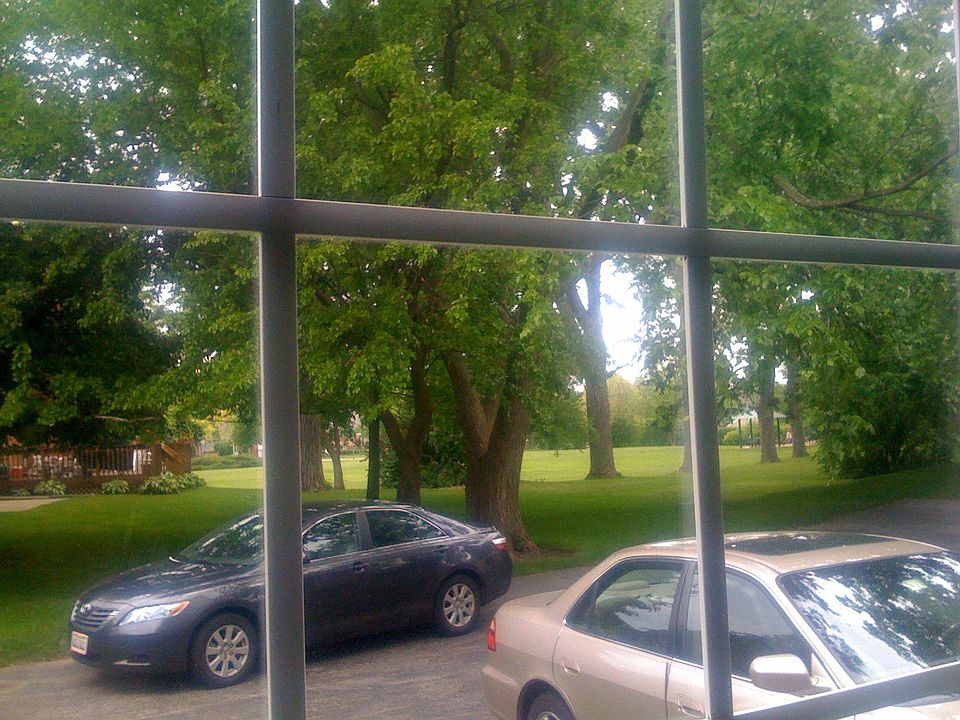 View out the front window