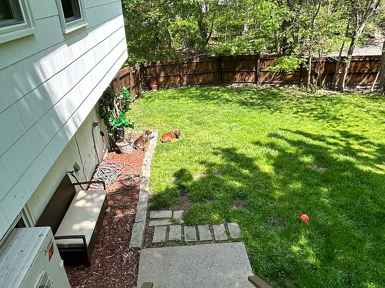 815 Tulip Dr — Photo 11