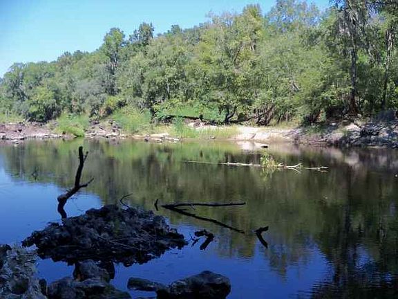 3rd image of NE Chervil Dr