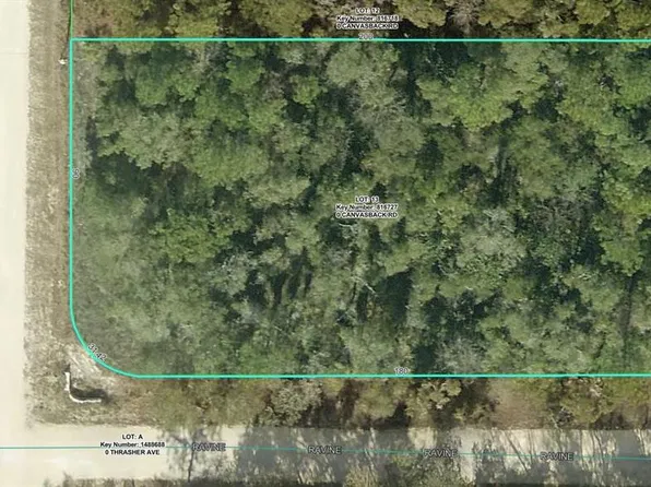 15026 CANVASBACK ROAD LOT 13, WEEKI WACHEE, FL 34614