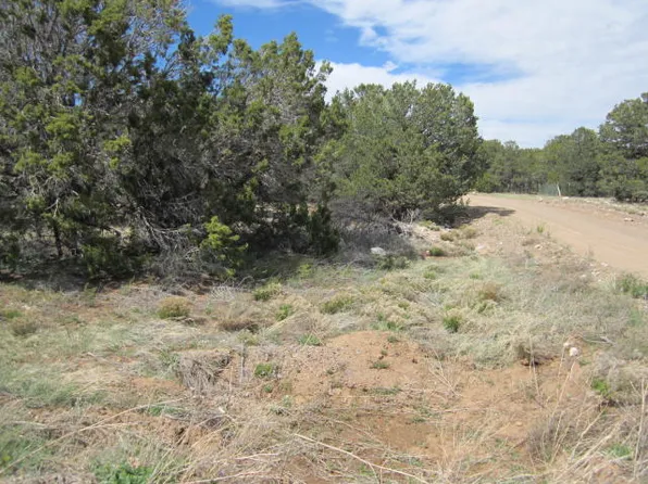Val Verde Loop, Edgewood, NM 87015