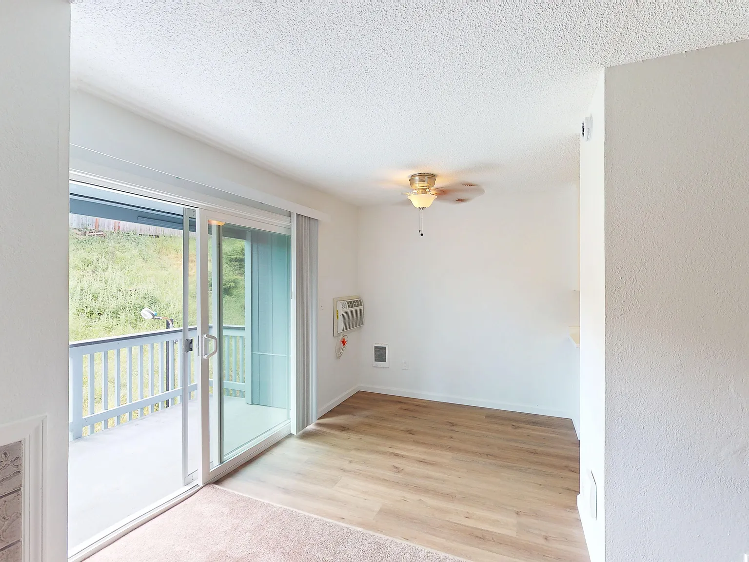 Bright Studio with Parking | Pet-Friendly | Convenient Novato Location — Photo 3