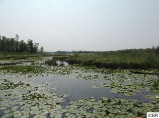 48625 Northwind Rd, Marcell, MN 56657