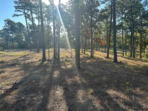2915 Orchard View Dr, Conway, AR 72034