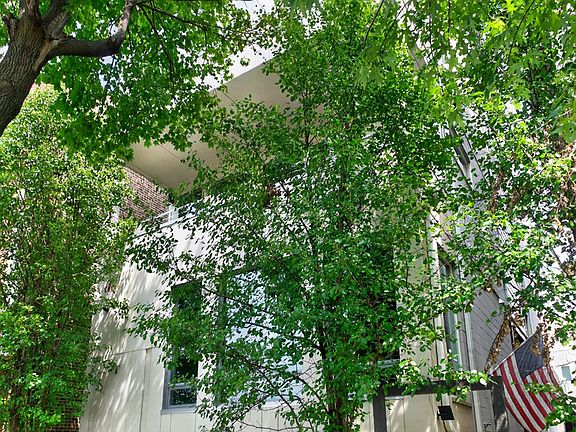 3rd image of 1141 N Leavitt St #1