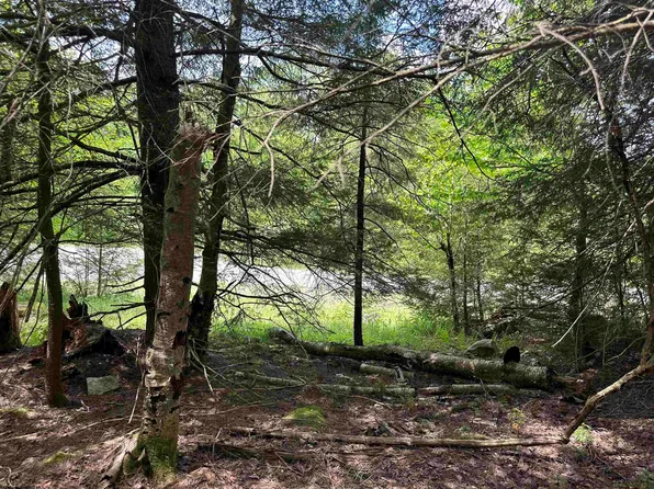 96 Gondola Ct, Davis, WV 26260