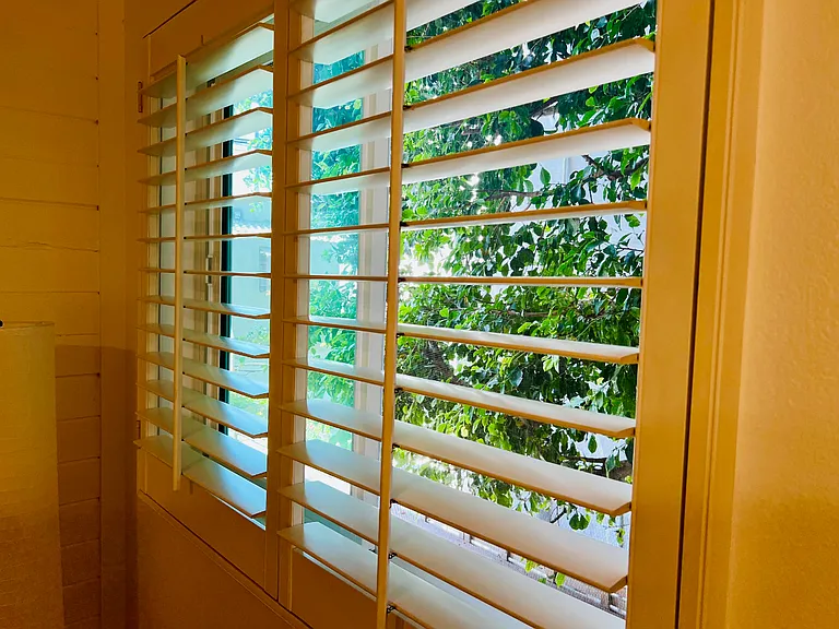Looking left from the primary bedroom window
