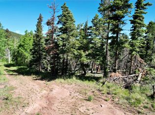 2938 Kemper Loop, Fort Garland, CO 81133