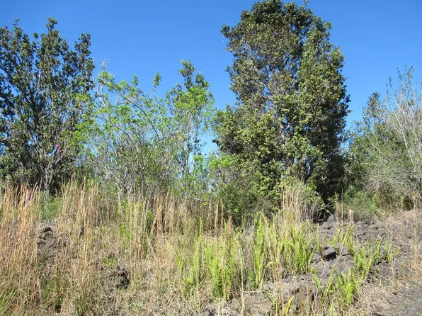 ALOHA Blvd Lot 4, Ocean View, HI 96737