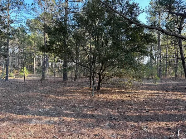 TBD Lot 1 McNabb Short Cut Rd., Loris, SC 29569