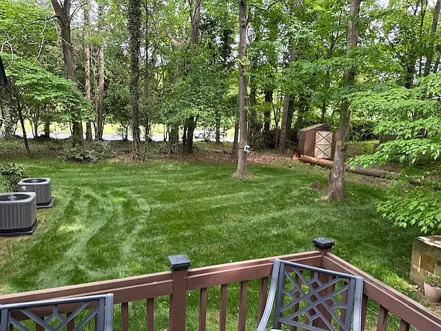 backyard May 2025 (felled tree is gone)