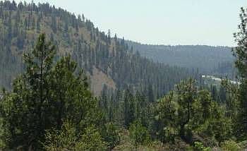 2nd image of 2006 S Canyon Woods Ln