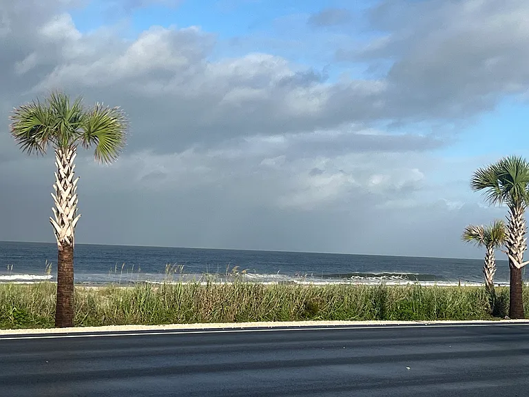 Oleander Ave — Photo 9