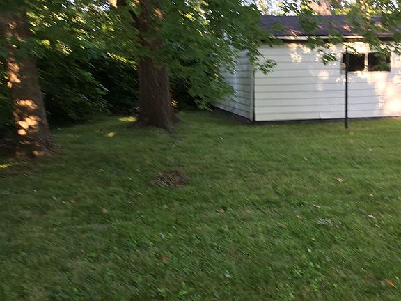 Exterior view of large shade tree