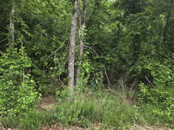 (undisclosed Address), Hot Springs National Park, AR 71913