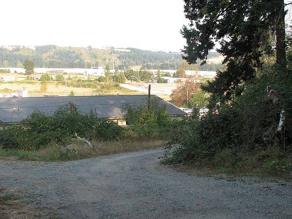 View of driveway on 3 acres plus