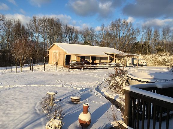 Rare but beautiful snow day