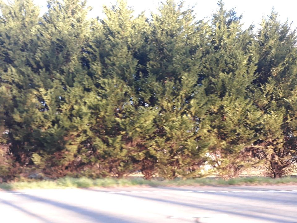 1264 Highway 211 NE, Winder, GA 30680 Zillow