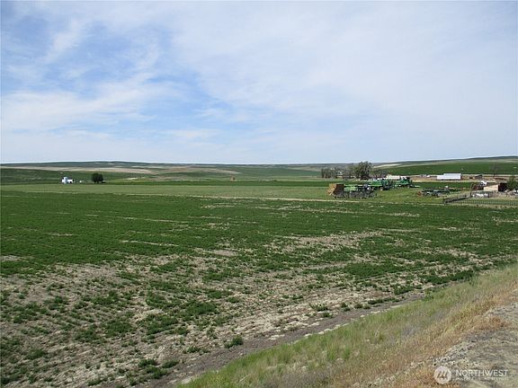 4th image of 1351 Cummins Road