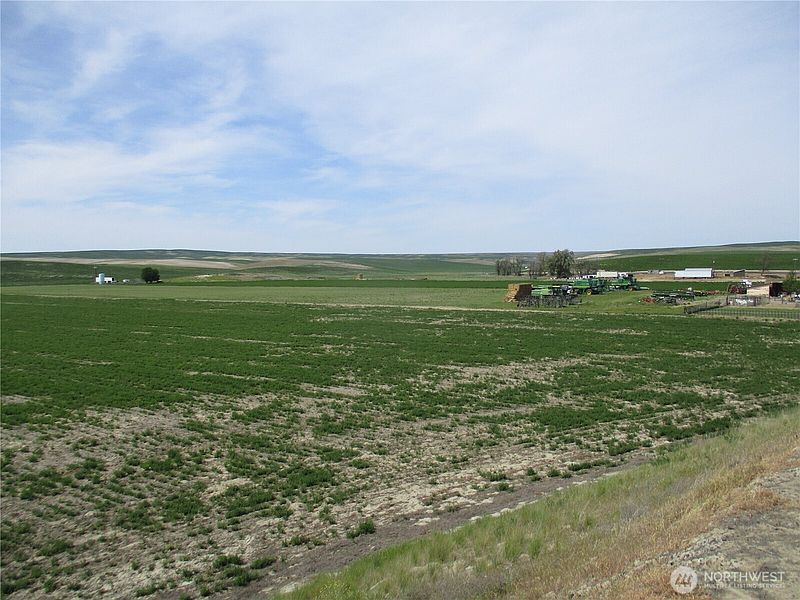 4th image of 1351 Cummins Road