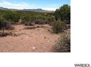 Ukn Globe Willow, Kingman, AZ 86401