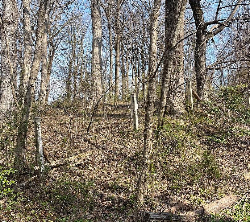 1st image of Steffeny Rd