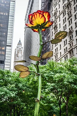 Rented by Compass | media 11