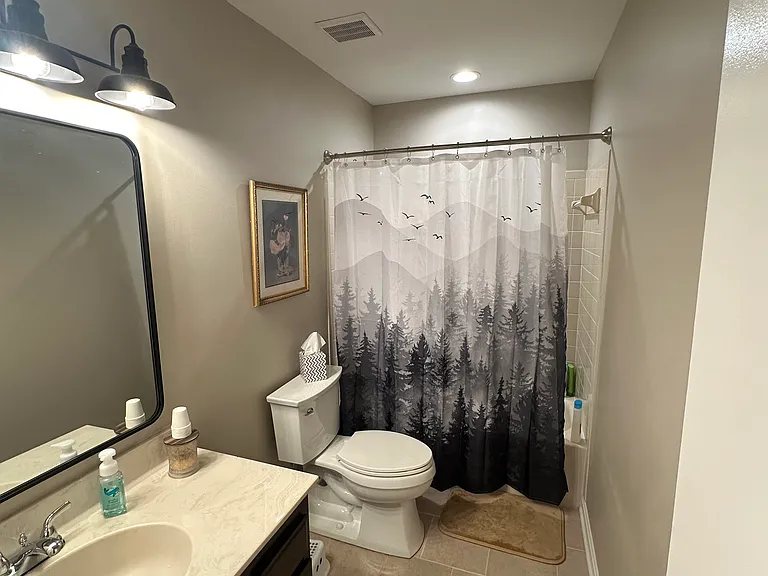 Top floor hall bathroom