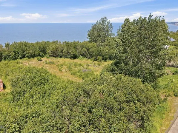 66730 Sterling Hwy, Clam Gulch, AK 99568