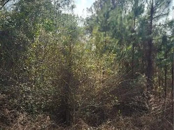 0 Ray Keen Rd, Covington, LA 70435