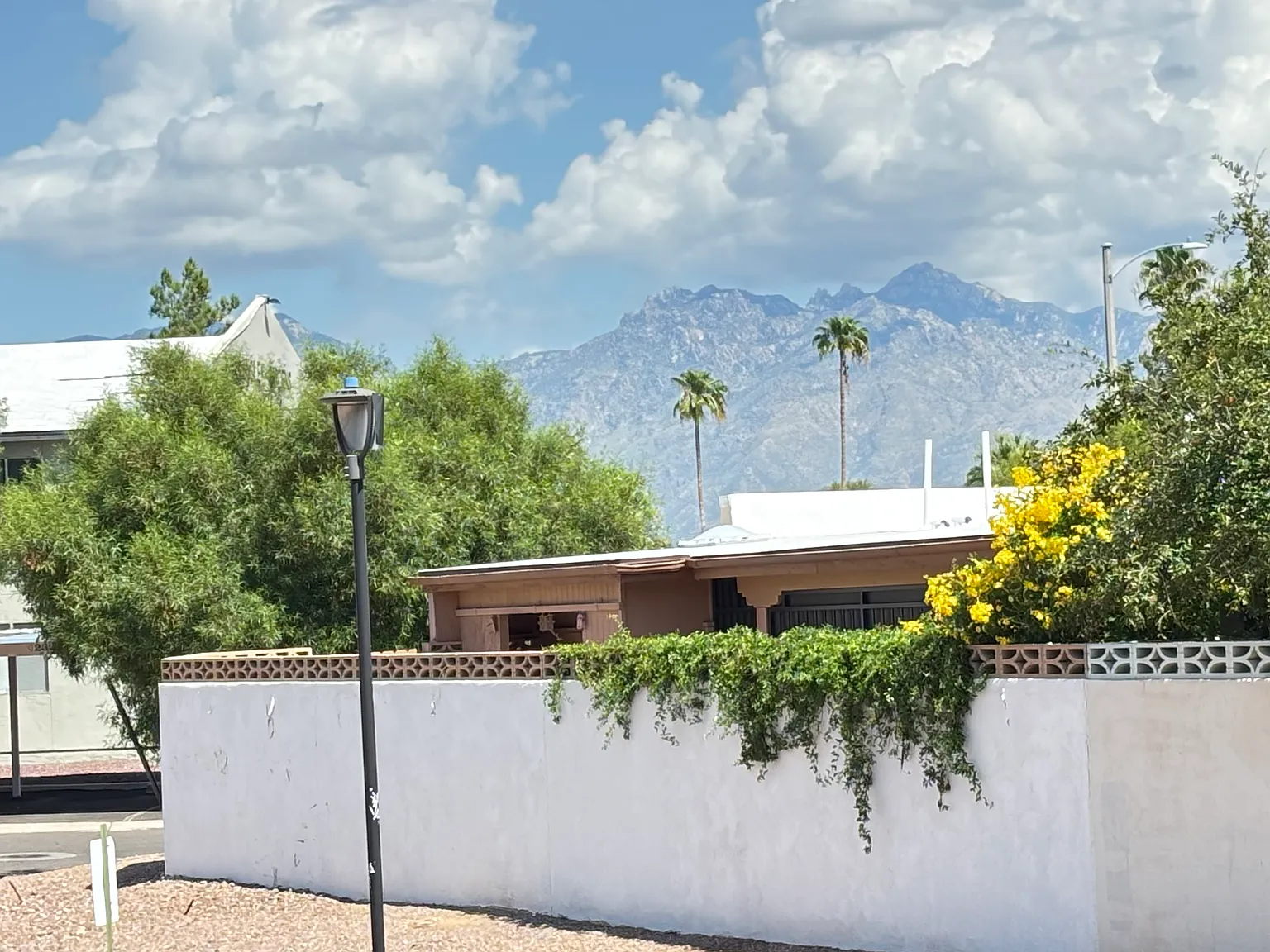 2 bed, 945 sqft, $1,090 — Photo 4