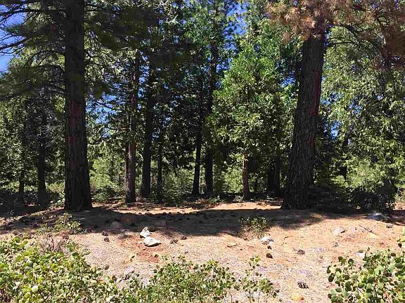 3rd image of 178 Fox Peak Dr